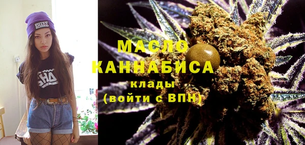 индика Баксан