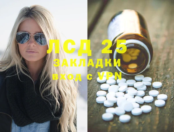 индика Баксан
