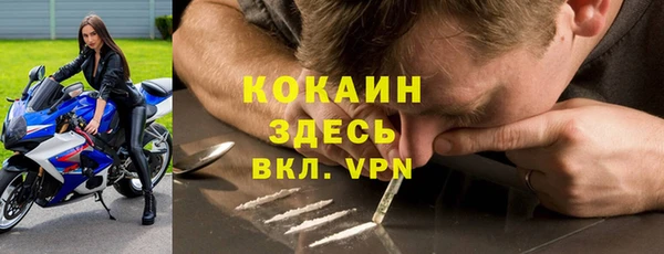 индика Баксан