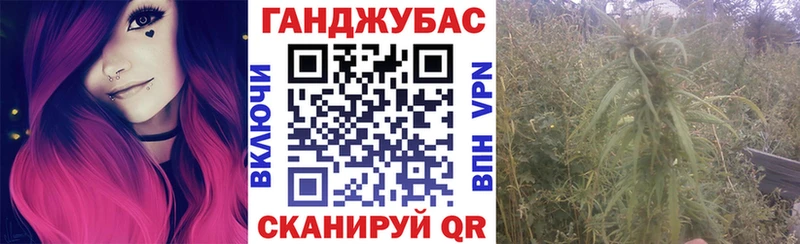 маркетплейс официальный сайт  где можно купить наркотик  Нелидово  Канабис SATIVA & INDICA 